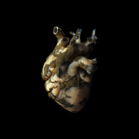 Highasakite - Uranium Heart (Explicit)