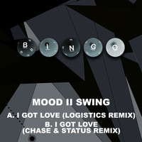 Mood II Swing - I Got Love (Remixes)