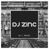 DJ Zinc - All I Want