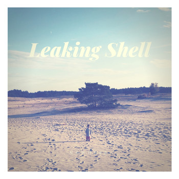 Leaking Shell - Nowhere
