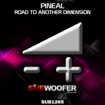 PiNeal - Road to Another Dimension