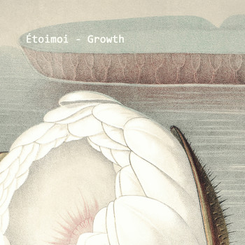 Étoimoi - Growth