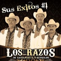 Los Razos - Sus Exitos #1