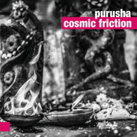 Purusha - Cosmic Friction