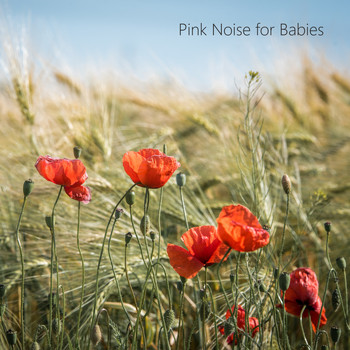 Pink Noise Sleep - Pink Noise Sleep