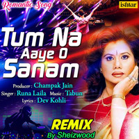 Runa Laila - Tum Na Aaye O Sanam (Remix)