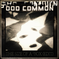 Odd Common - The Size of a Box