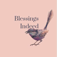 Novlette Constable Gardner - Blessings Indeed (Radio Version)