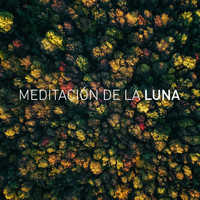 Luna Tunes and Meditación De La Luna - Remedy