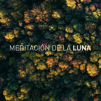 Luna Tunes and Meditación De La Luna - Paper Moon