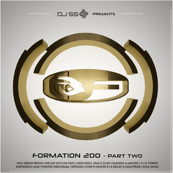 Various Artists - DJ SS Presents: Formation 200, Pt. 2
