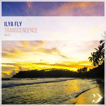 Ilya Fly - Transcendence