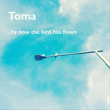 Toma - ...By Now the Bird Has Flown