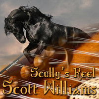 Scott Williams - Scully's Reel