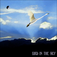 Cecilia Ringkvist - Bird in the Sky