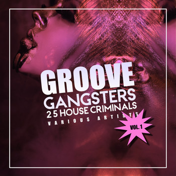 Various Artists - Groove Gangsters, Vol. 1 (25 House Criminals)