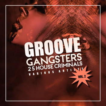 Various Artists - Groove Gangsters, Vol. 2 (25 House Criminals)