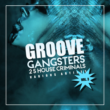 Various Artists - Groove Gangsters, Vol. 3 (25 House Criminals)