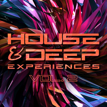 Various Artists - House & Deep Experiences, Vol. 2