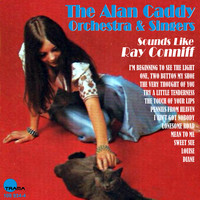 The Alan Caddy Orchestra & Singers - Sounds Like Ray Conniff