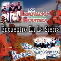 Encuentro En La Sierra - Trio Tradicion Hidalguense vs Trio Renovacion Huasteca