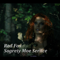Red Fox - Sogreiy Moe Serdce