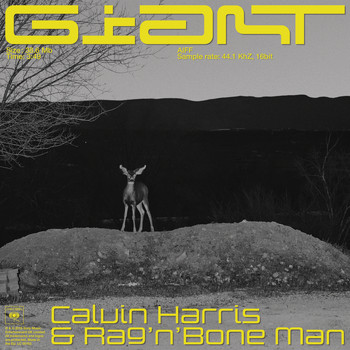 Calvin Harris, Rag'n'Bone Man - Giant