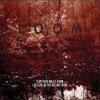 Loom - Tear Your Walls Down / I Believe in You but Not in Me - Single
