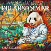 Adi Pasha - Polarsommer