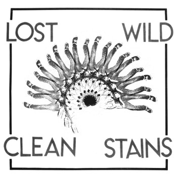 Clean Stains - Lost Wild