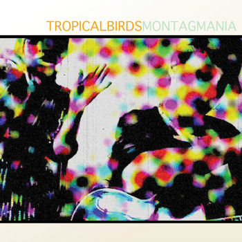 Montag Mania - Tropical Birds