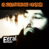 Feral Ghost - A Gathering Storm