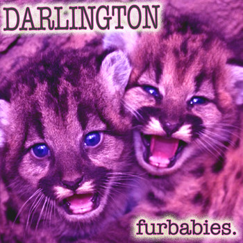 Darlington - Furbabies