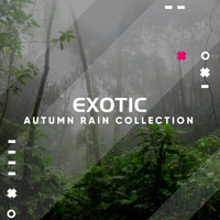 Tranquil Music Sounds of Nature, Loopable Rain Sounds, Sound of Rain - #10 Exotic Autumn Rain Collection