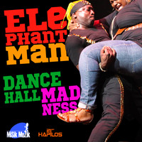Elephant Man - Dancehall Madness - Single