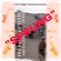 Samuel Andres - Sprung