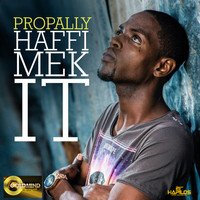Propally - Haffi Mek It - Single