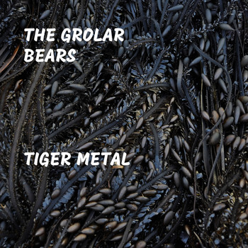 The Grolar Bears - Tiger Metal