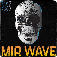 Mir Wave - I Like to Know