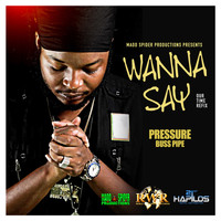 Pressure - Wanna Say - Single