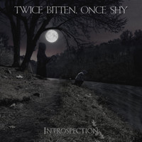 Twice Bitten, Once Shy - Introspection (Explicit)