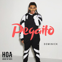 Dominick - Pegaito