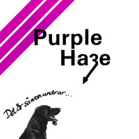 Purple Haze - Det Är Så Man Undrar