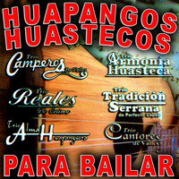 Huapangos Huastecos - Para Bailar