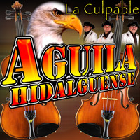 Aguila Hidalguense - La Culpable