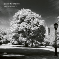 Larry Grenadier - Oceanic