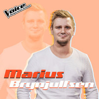Marius Brynjulfsen - Somebody Like You (Fra TV-Programmet "The Voice")