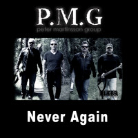 Peter Martinsson Group - Never Again (Radio Edit)