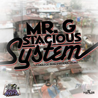 Mr. G - System