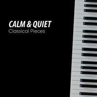 Relaxing Piano Music Masters - Calm & Quiet Classical Pieces